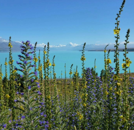 Familienzeit & Unsere Neuseeland-Abenteuer